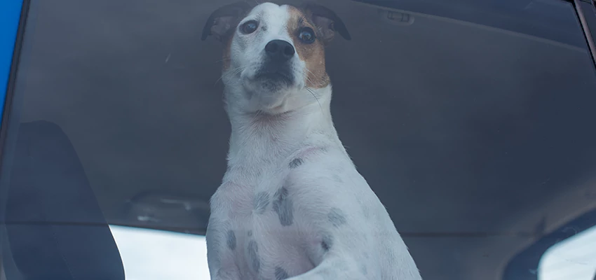 Car Lockout Solutions in San Jacinto, California